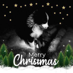 Meet your Posher, Hilda